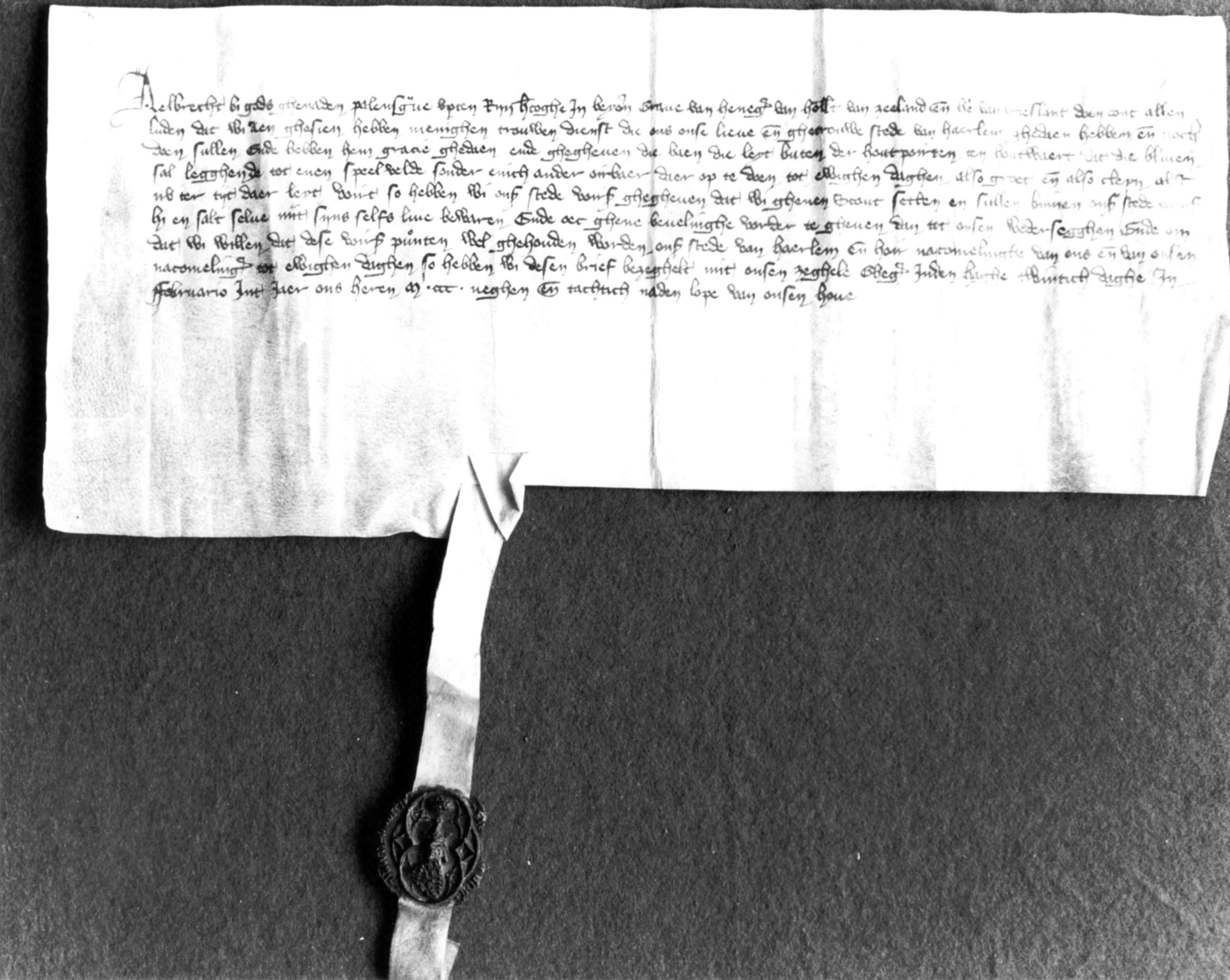 Haarlem, Charter Aelbrecht van Beieren - 1390