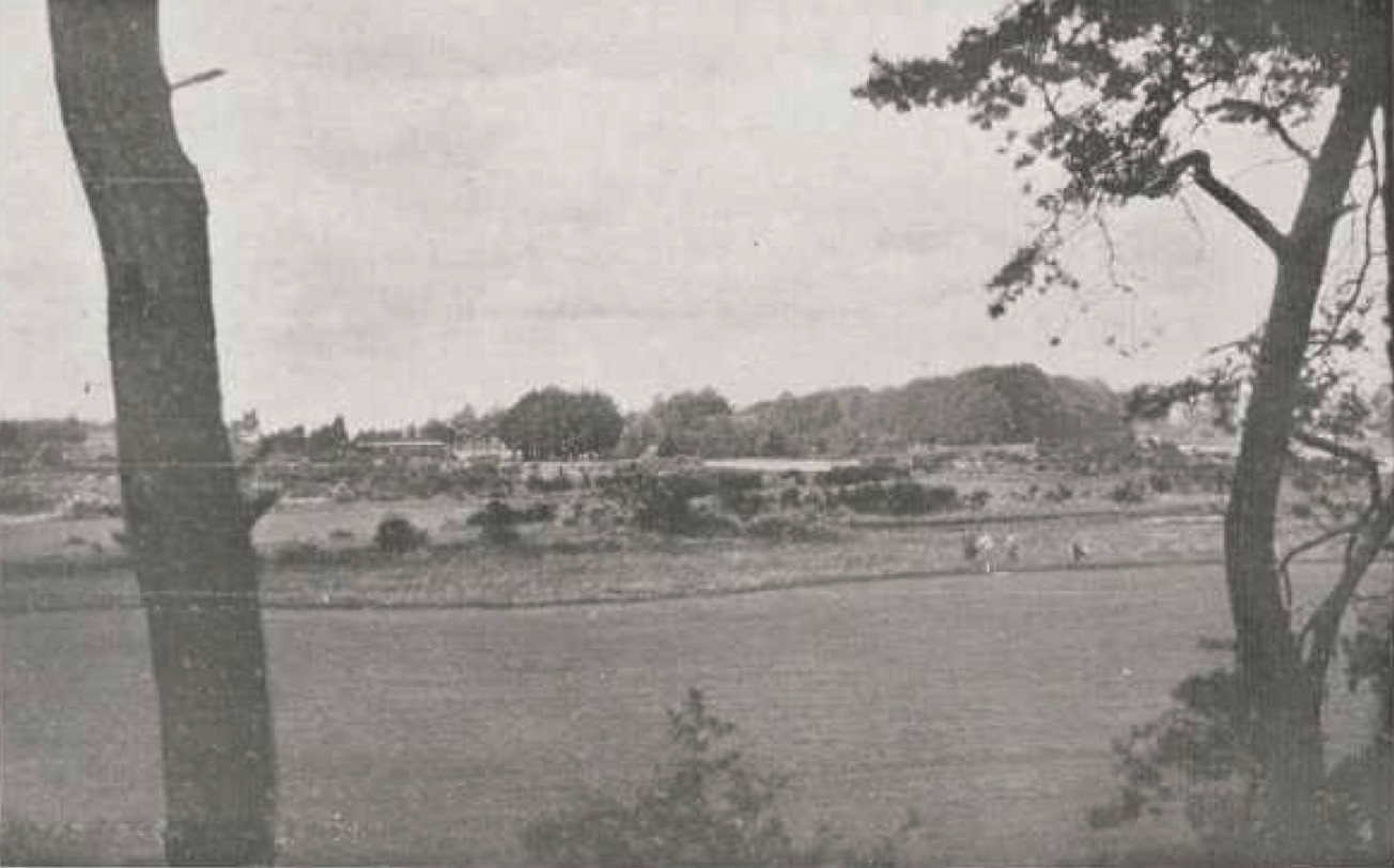 Vierde fairway Hattemsche G&CC, op de achtergrond bomen van De Hezenberg - 1931