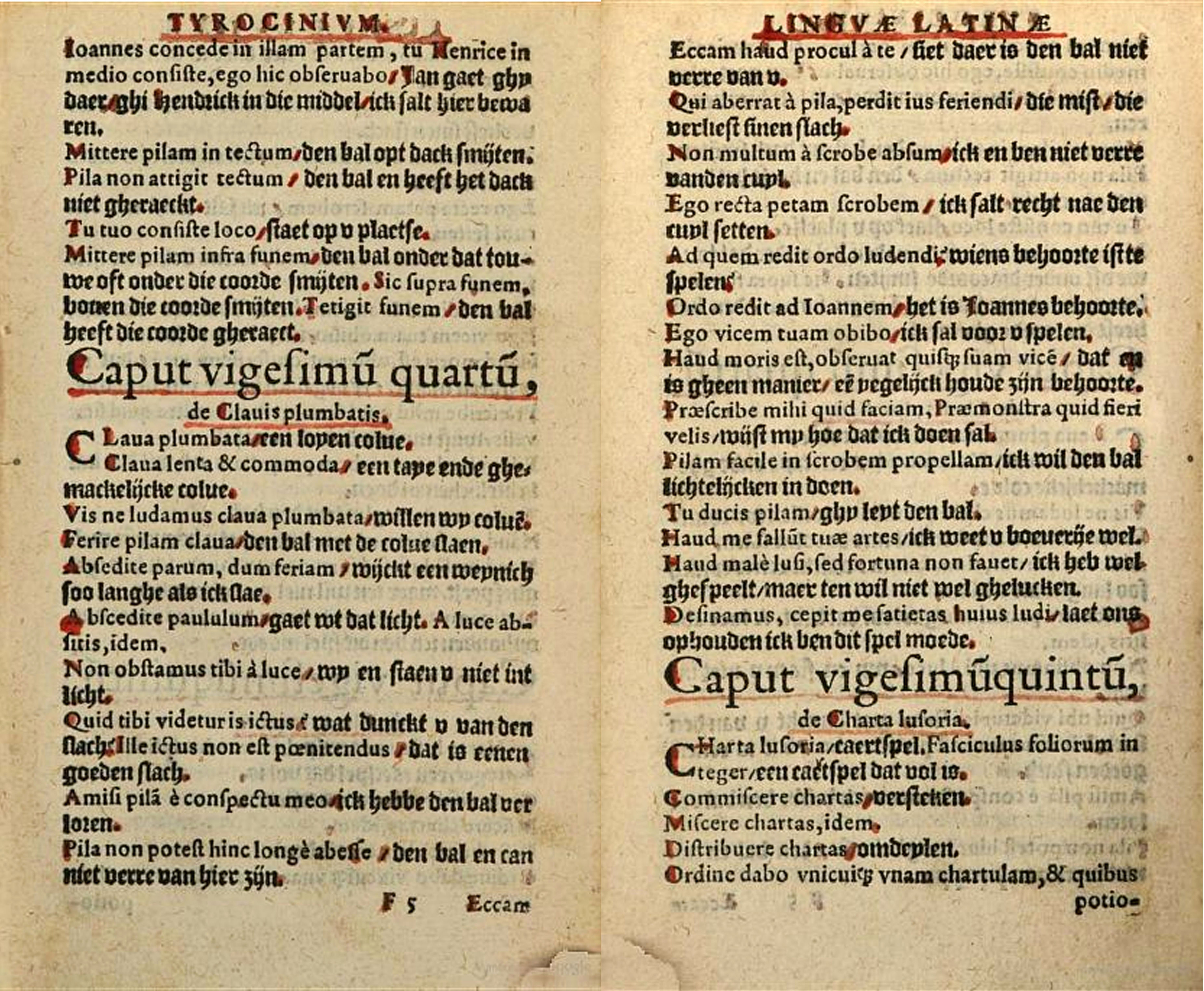Pieter van Afferden, Tyrocinium linguae Latinae ex optimus quibusq - 1556
