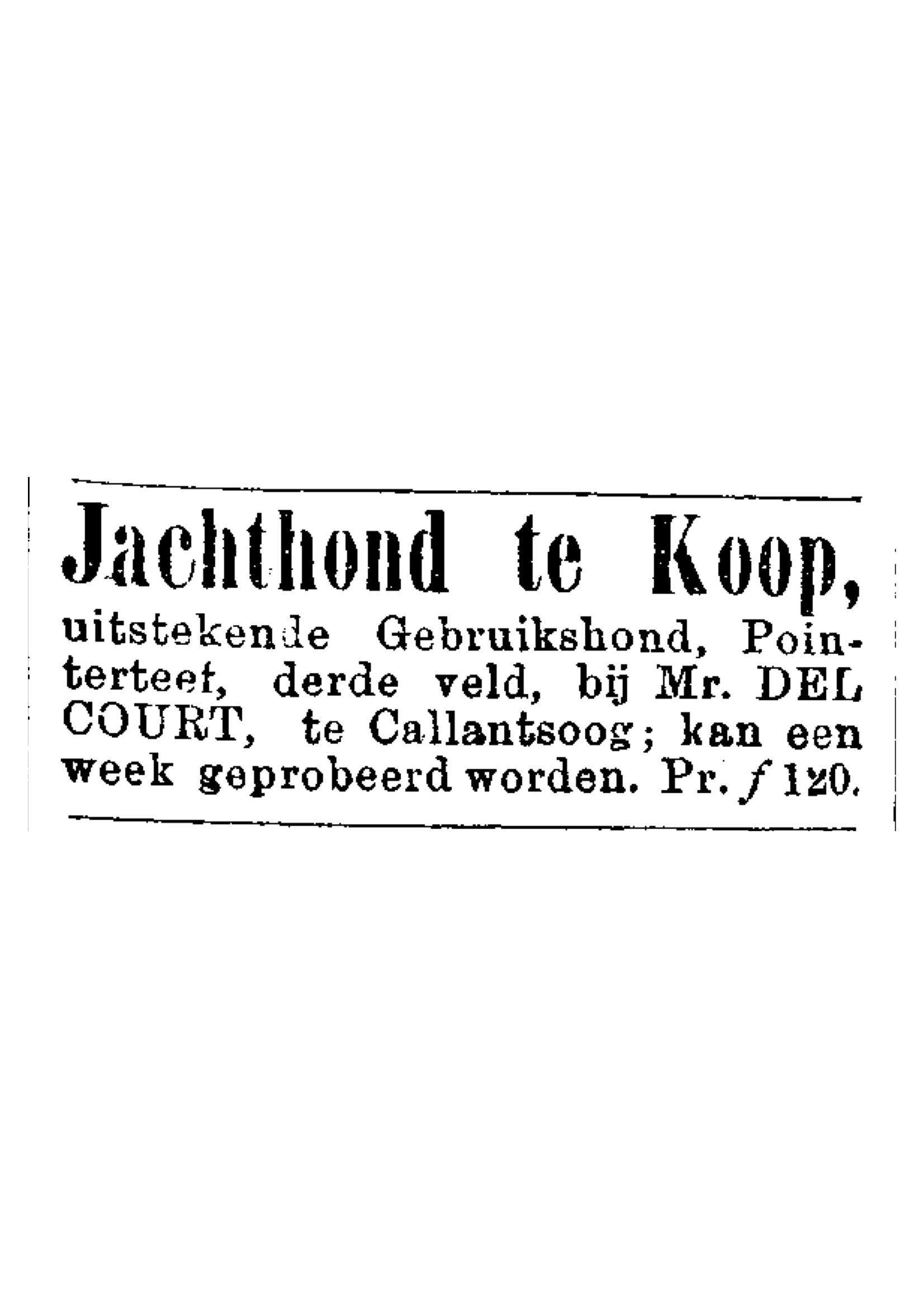 Het Nieuws van den Dag - 18890829