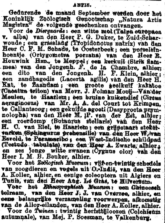 Het Nieuws van den Dag - 19001016