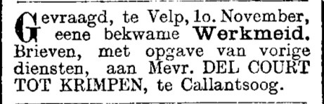 Het Nieuws van den Dag - 19030804