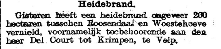 Het Nieuws van den Dag - 19090521