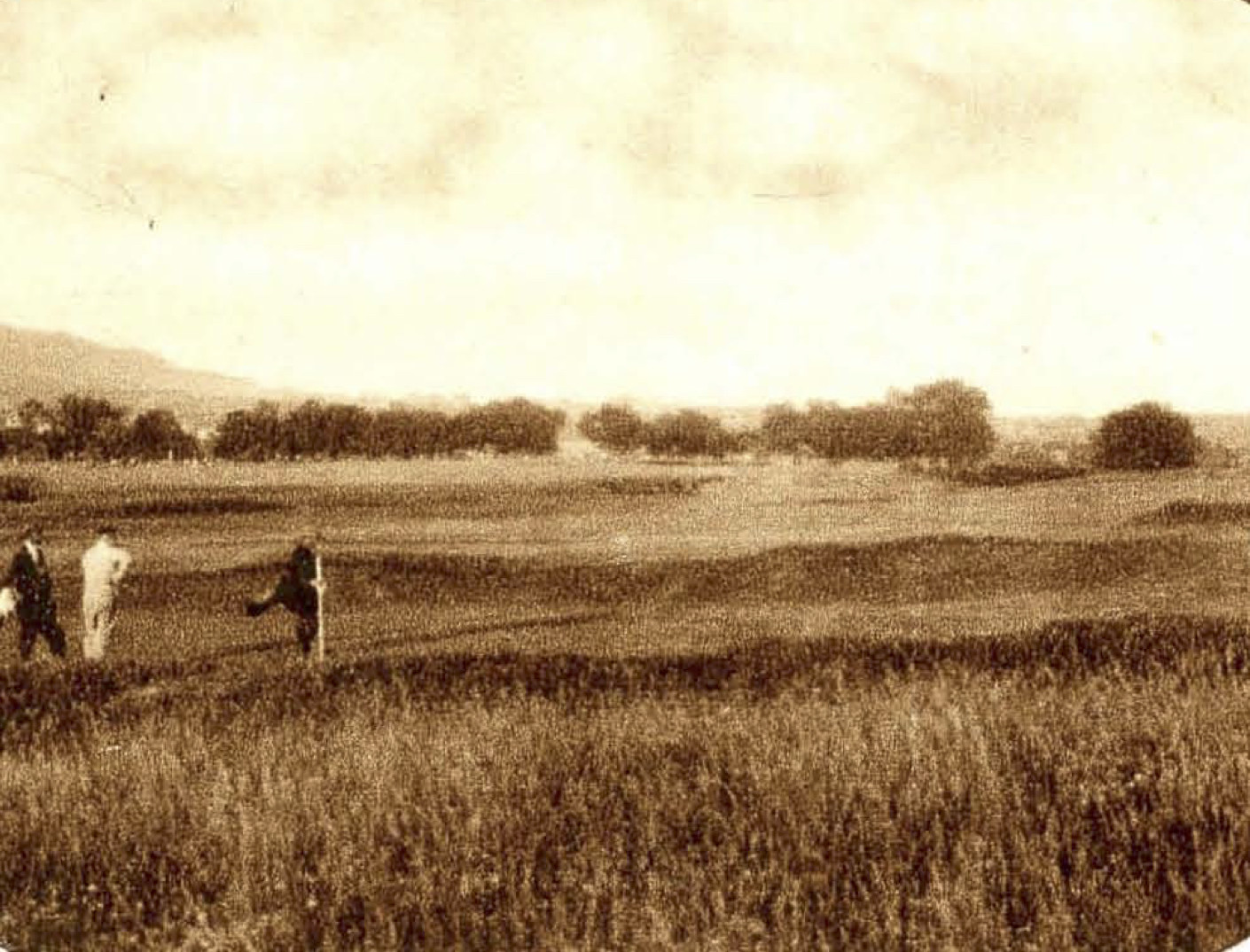 Folkestone Golfclub - 1924