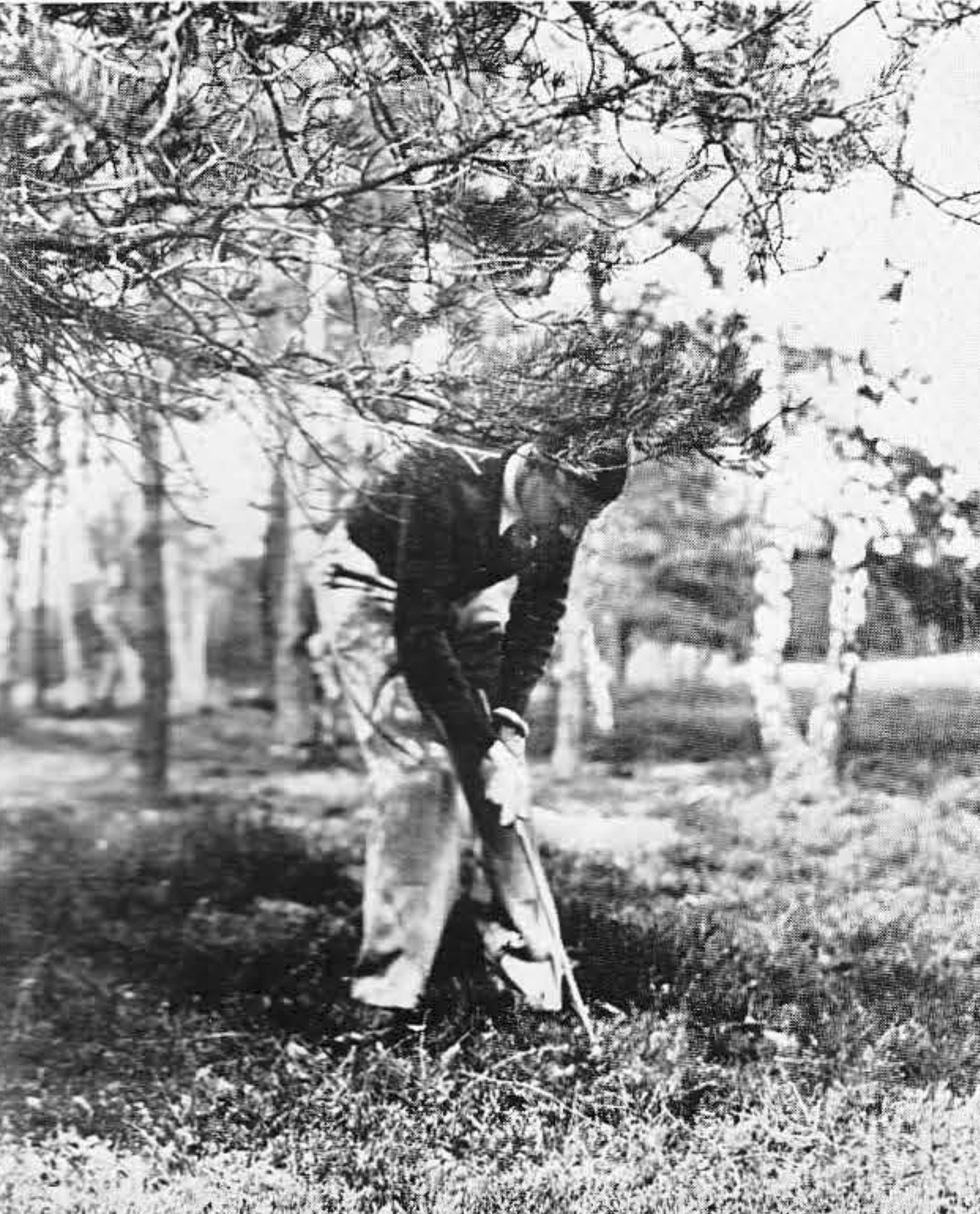 W. van Lanschot - 1938