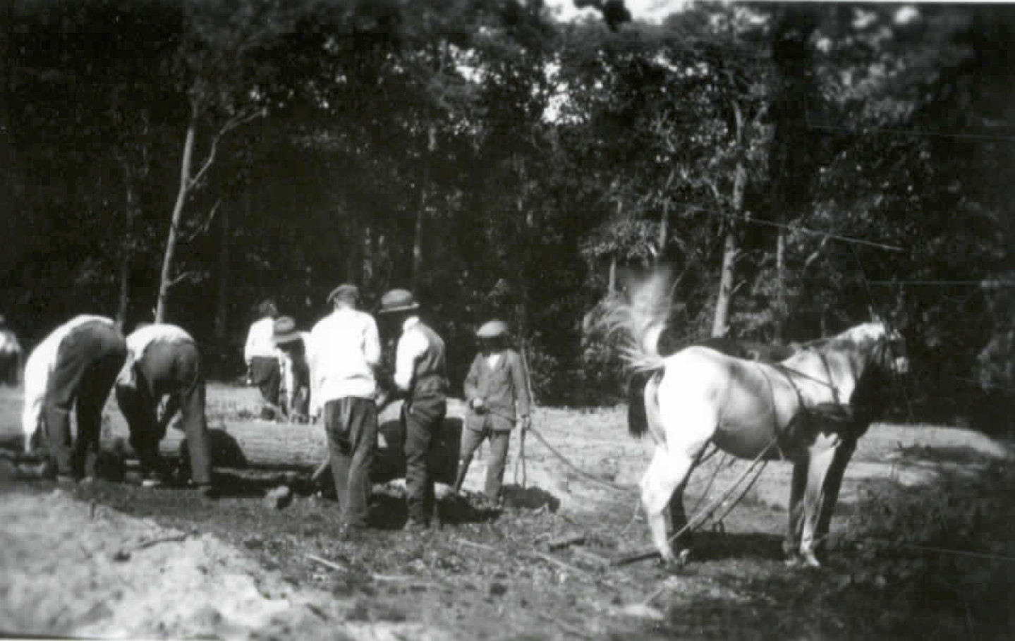 Arbeiders op nieuwe baan Haagsche