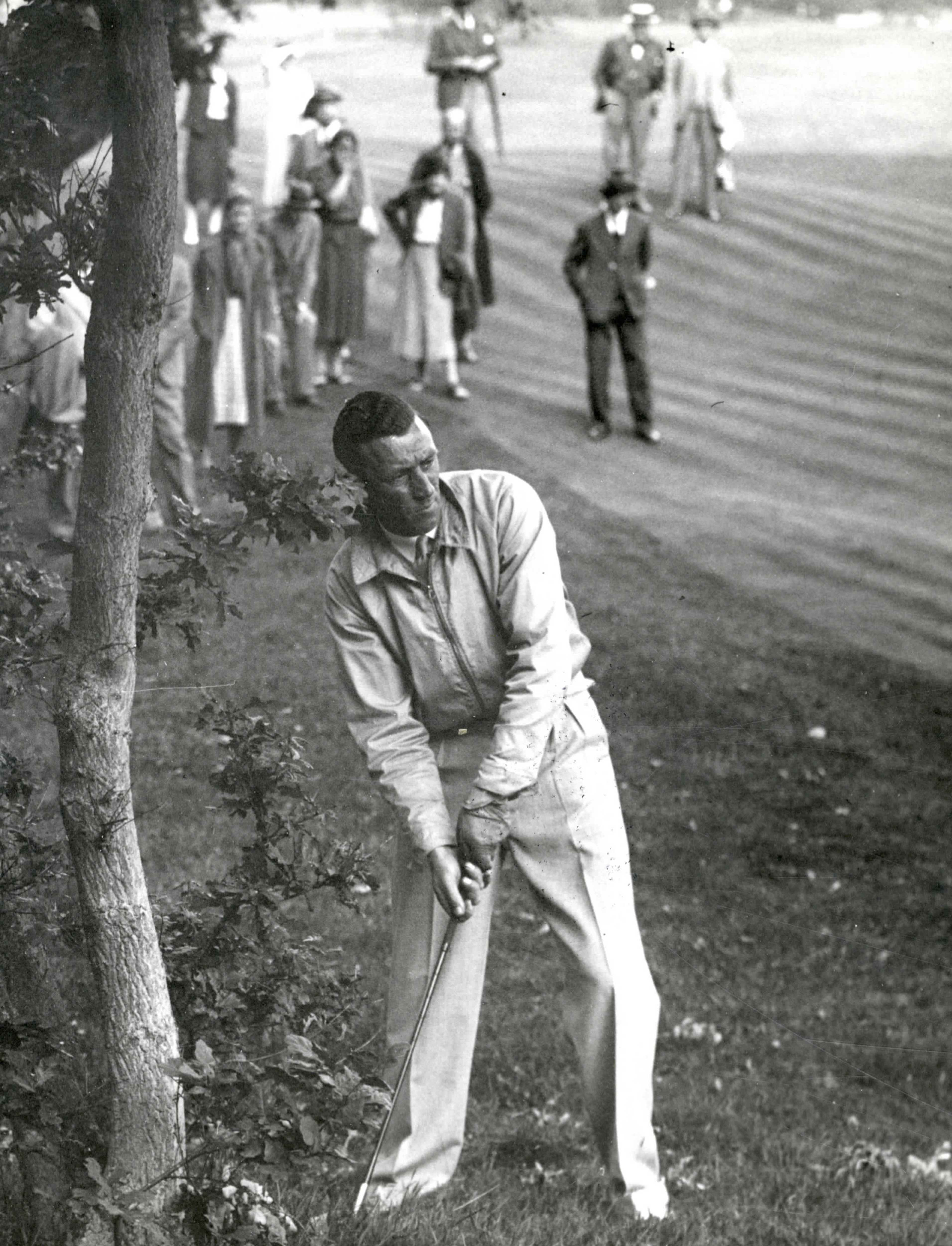 Speler van de Haagsche