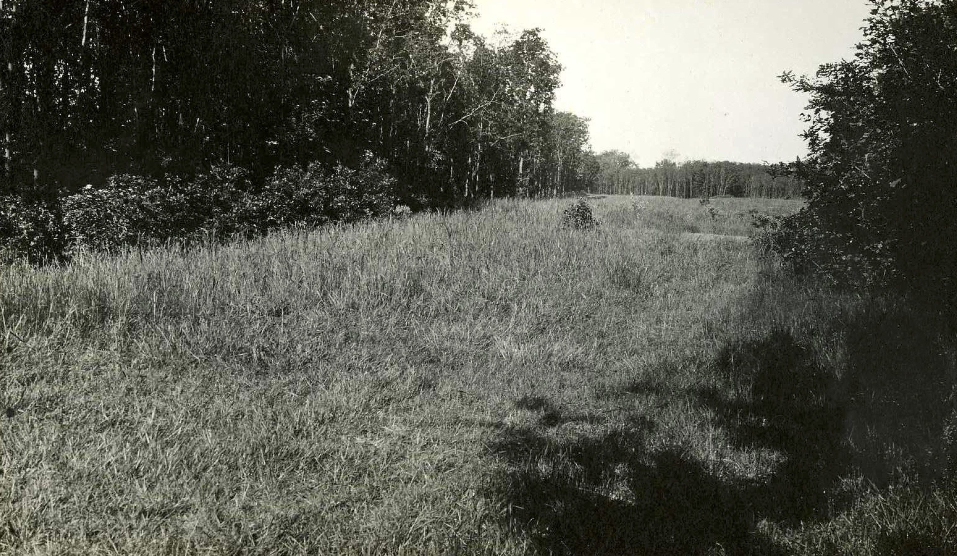 6e hole - 1923
