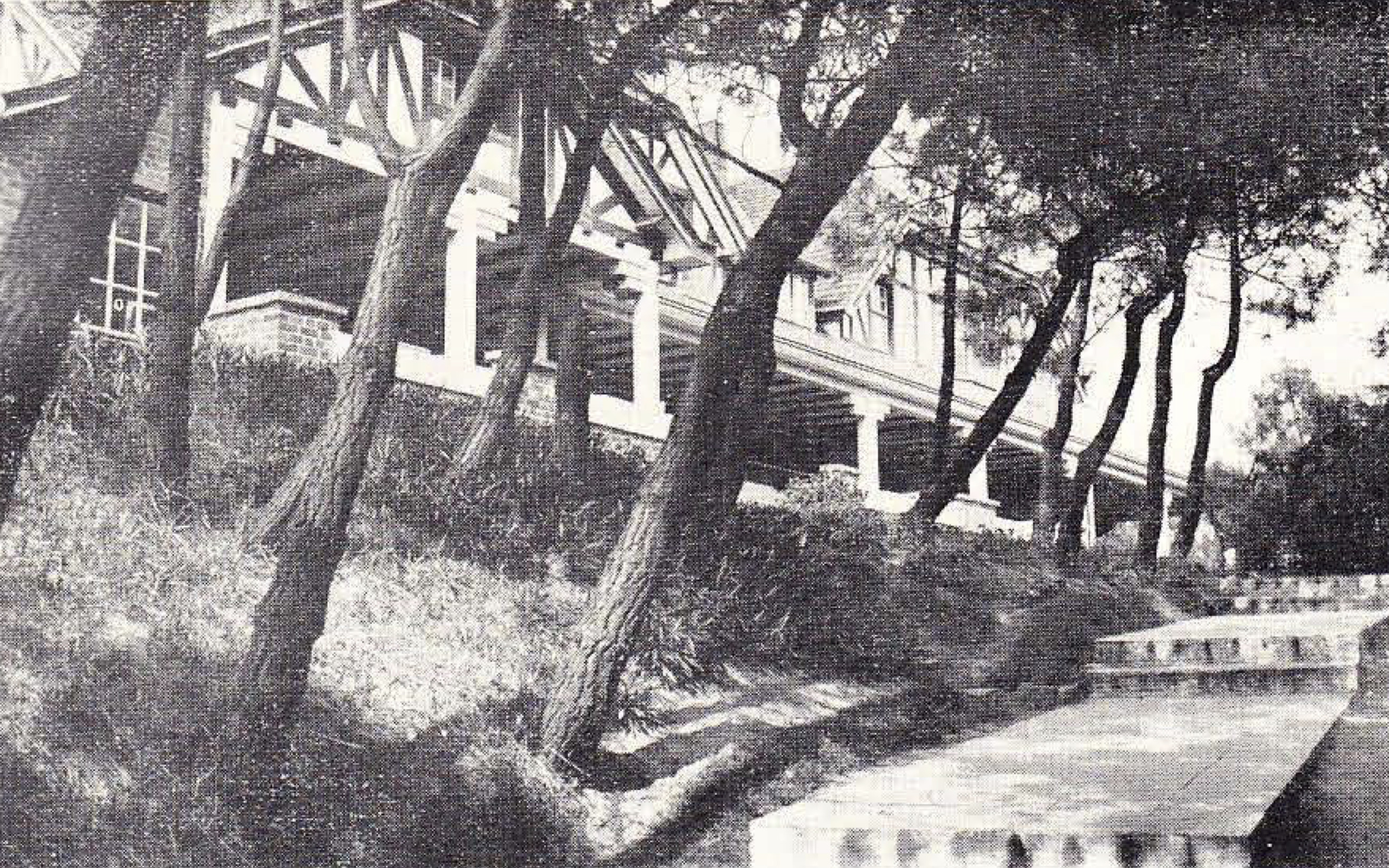 Clubhuis Le Zoute - 1938