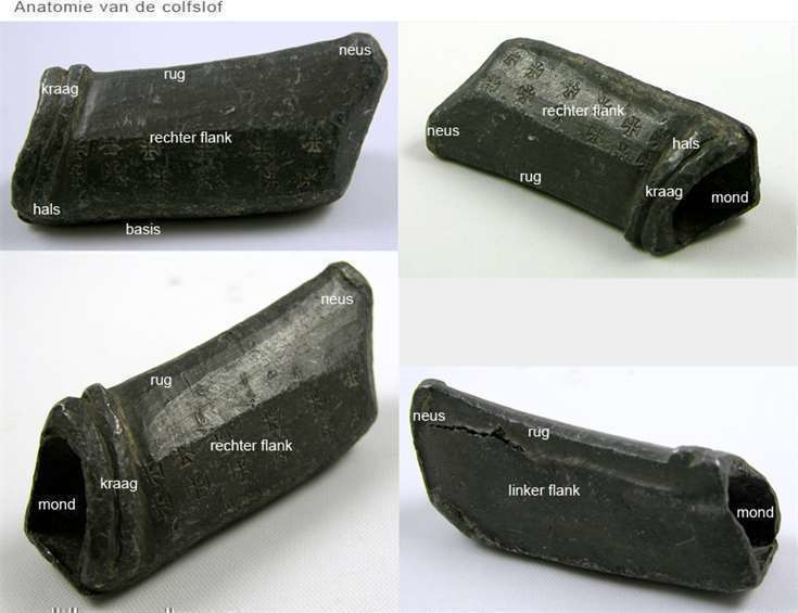 Anatomie van de colfslof