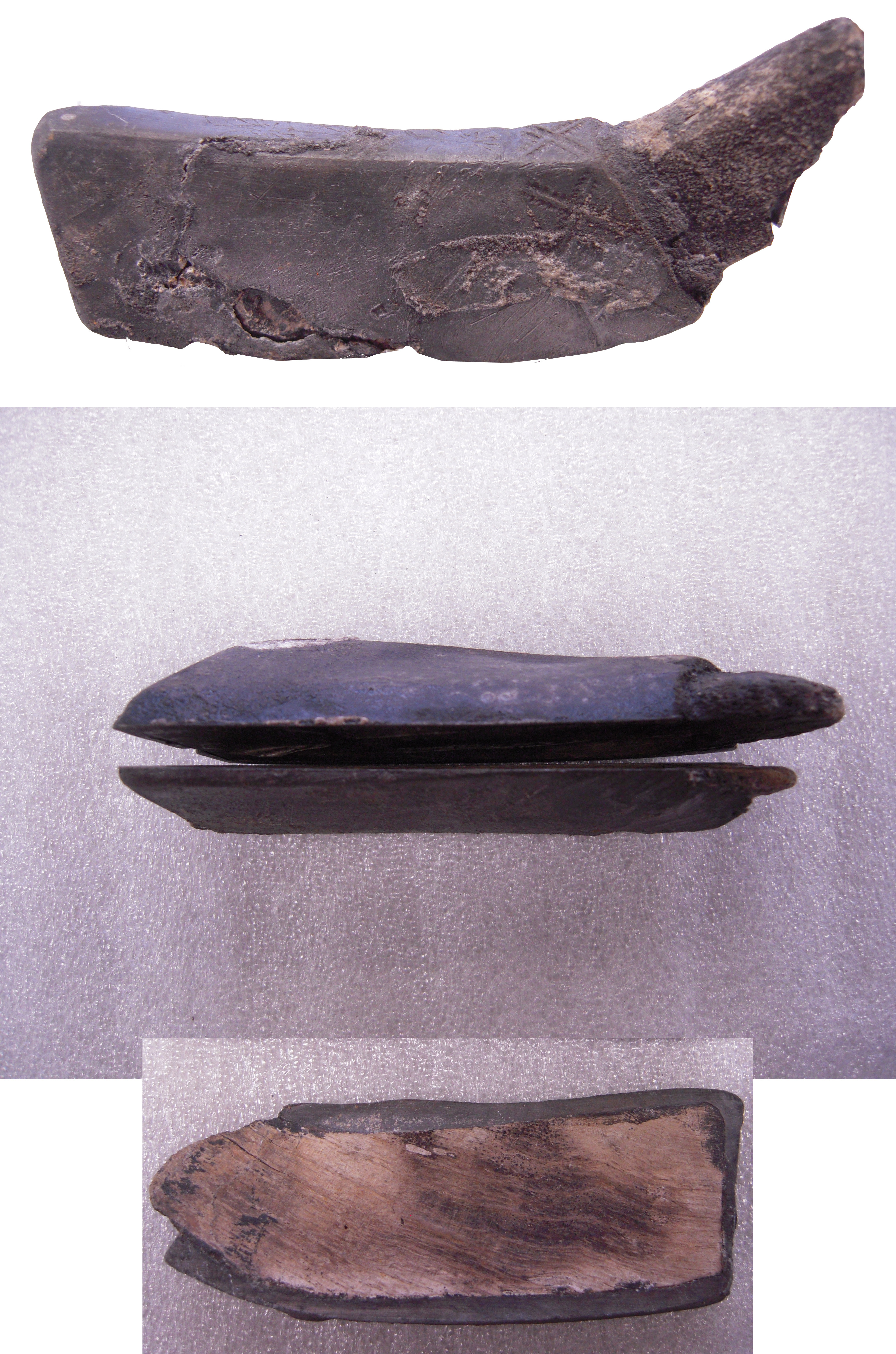 Colfslof, Biddinghuizer Colfschip. 1540