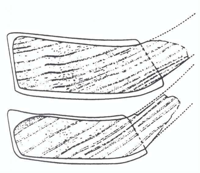 Cross section of two colfsloffen