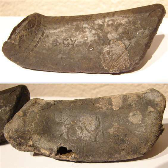 Twee colfsloffen Alkmaar