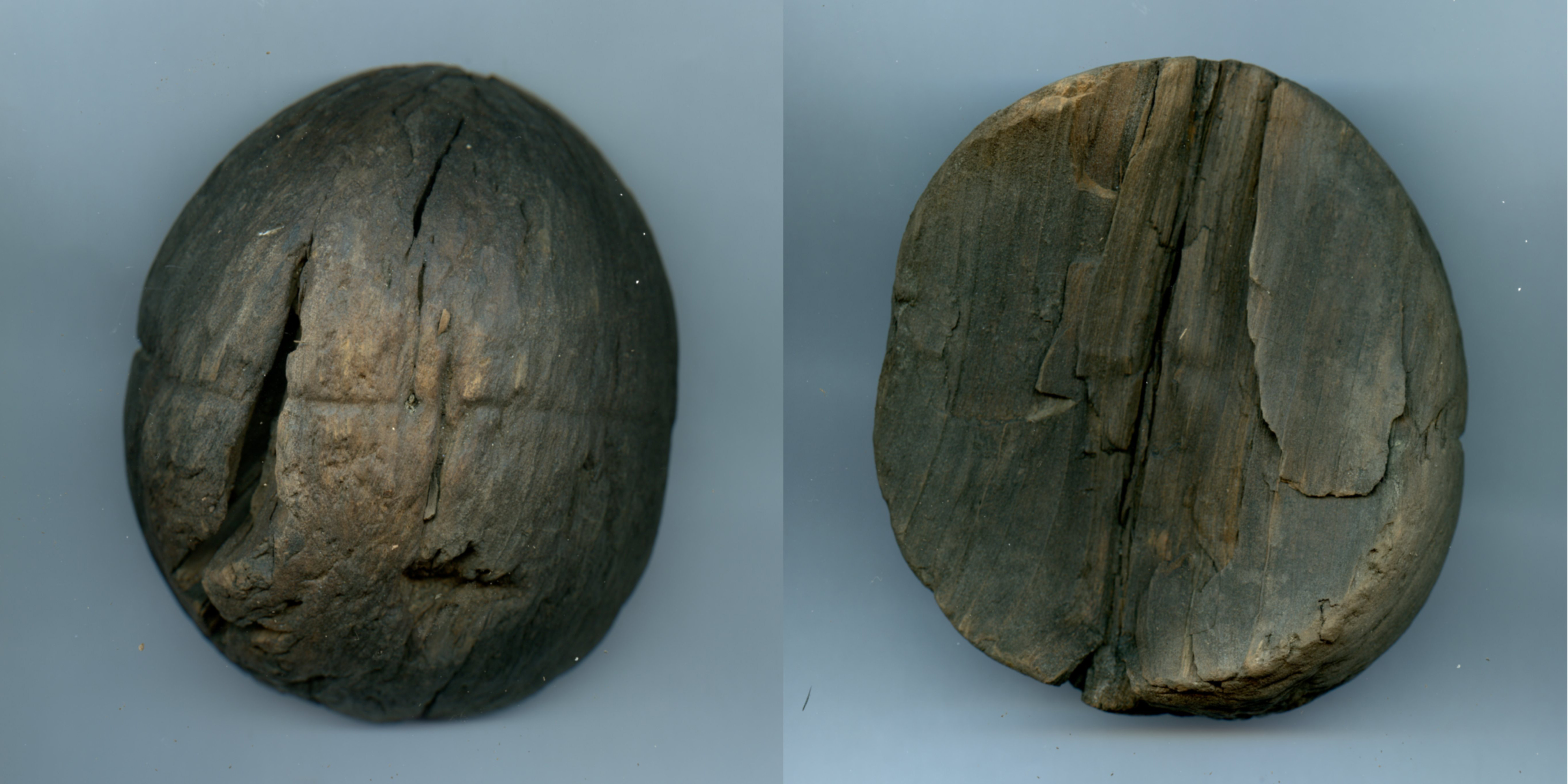 Houten kolfbal of beugelbal - 1650-1800