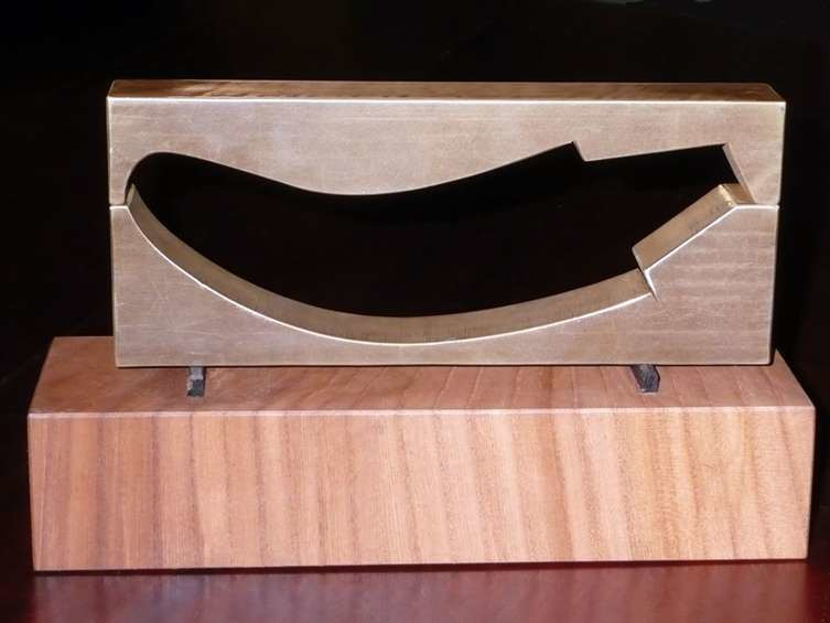 Robbert van Buuren, Uitgesneden kolfslof, Jaap Röell, St. Eloyen Gasthuis. 2008